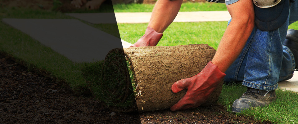 Hopewell Junction Landscapers